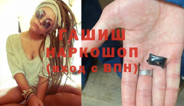 индика Алзамай