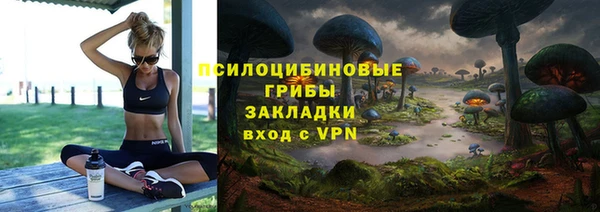 твердый Алексин
