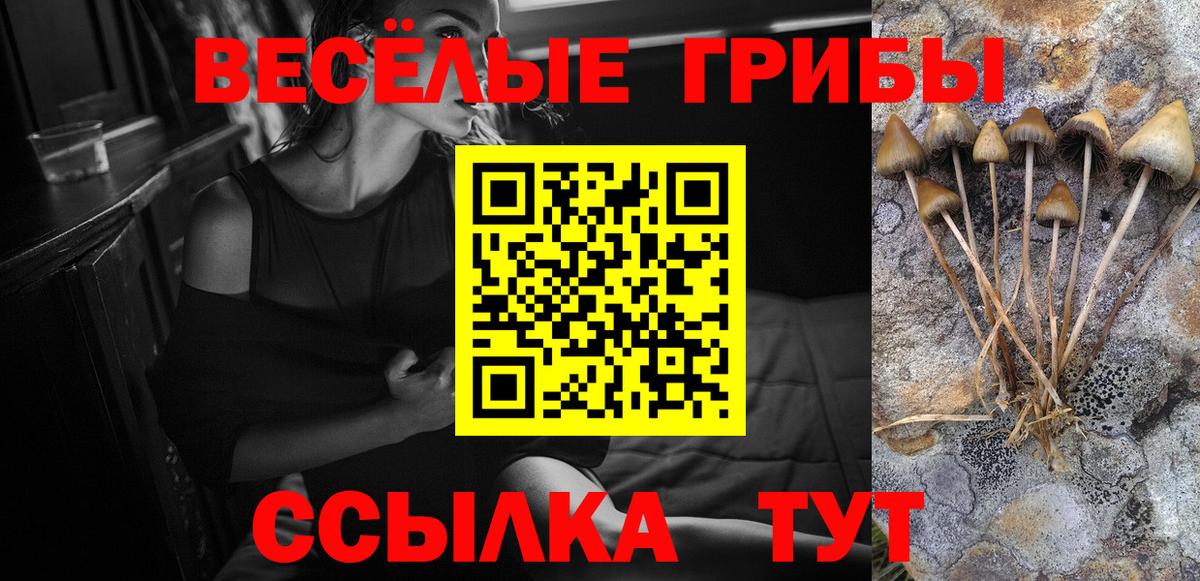 Псилоцибиновые грибы ЛСД Ахтубинск