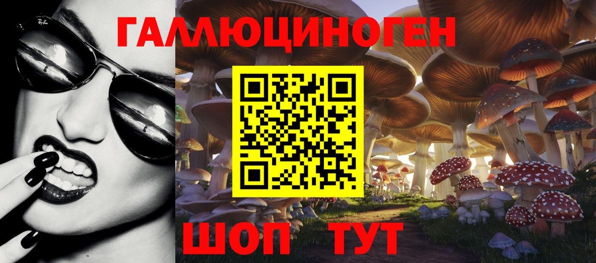 Ахтубинск  наркота  Псилоцибиновые грибы GOLDEN TEACHER  Вход с VPN  Псилоцибиновые грибы GOLDEN TEACHER 